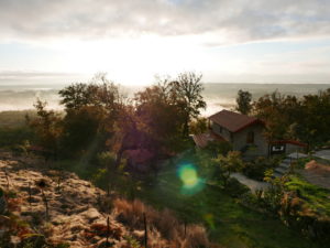 Find Rural Peace